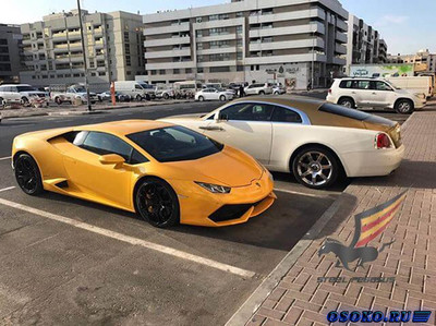 В Дубай завезли новые Lamborghini 2017-2018 годов