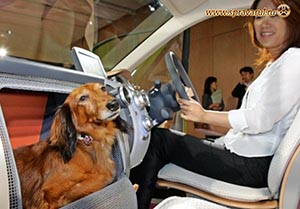 Машина с местом для собаки от Honda