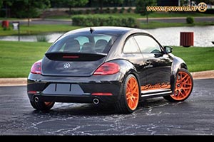 Beetle RS Project